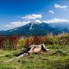 Zakopane - Tatra