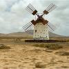 Fuerteventura - Windmill
