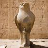 Egypt - Edfu Temple - Horus