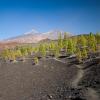 Tenerife - Pico del Teide