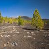 Tenerife - Pico del Teide