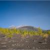 Tenerife - Pico del Teide