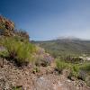 Tenerife - Pico del Teide