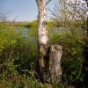 Troisdorf - Rotter See