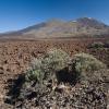 Tenerife - Landscape